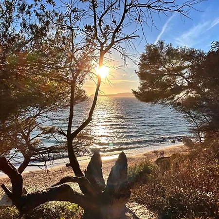 Reve Azur En Duplex Coeur De Village * Le Pradet